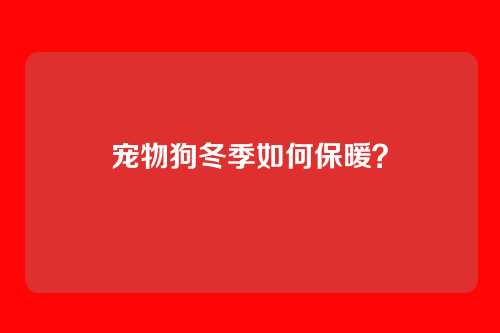 宠物狗冬季如何保暖？