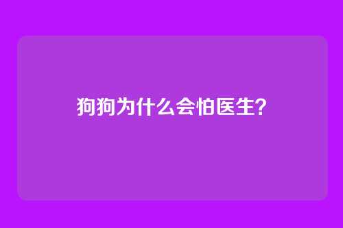 狗狗为什么会怕医生？