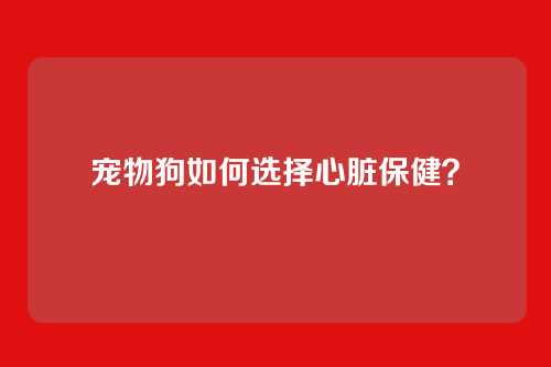 宠物狗如何选择心脏保健?