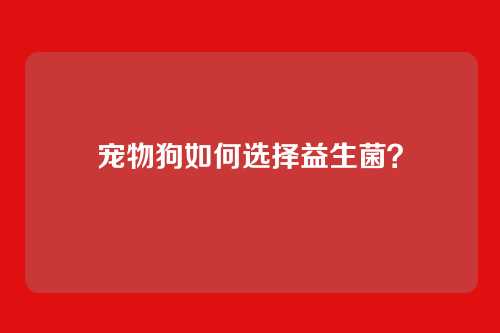 宠物狗如何选择益生菌？