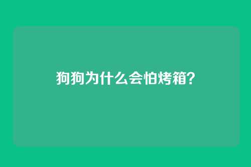狗狗为什么会怕烤箱？