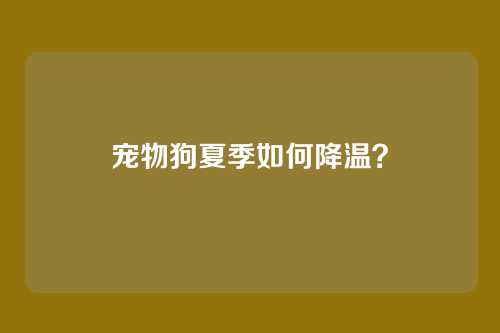 宠物狗夏季如何降温？