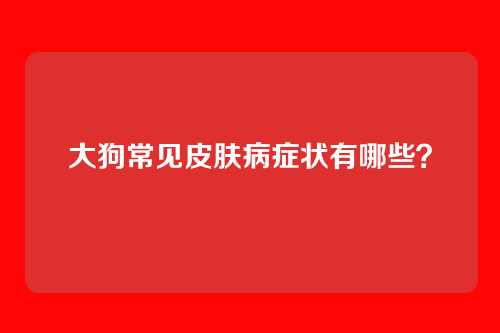 大狗常见皮肤病症状有哪些?