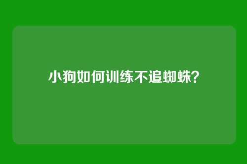 小狗如何训练不追蜘蛛？