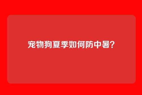 宠物狗夏季如何防中暑？