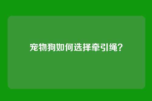 宠物狗如何选择牵引绳?