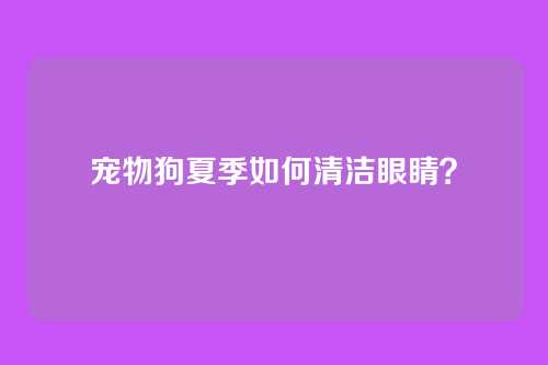 宠物狗夏季如何清洁眼睛？
