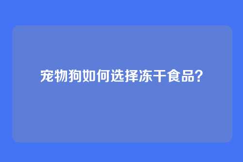 宠物狗如何选择冻干食品？