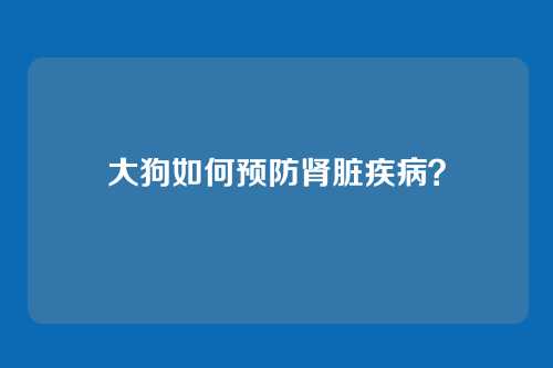 大狗如何预防肾脏疾病?