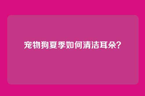 宠物狗夏季如何清洁耳朵？
