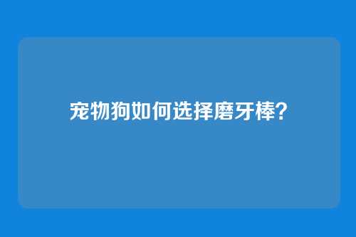 宠物狗如何选择磨牙棒？