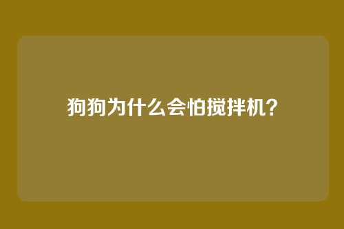 狗狗为什么会怕搅拌机？