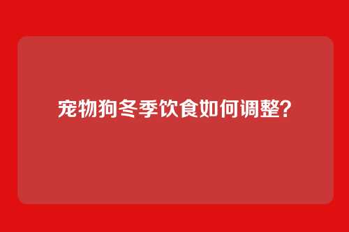 宠物狗冬季饮食如何调整？