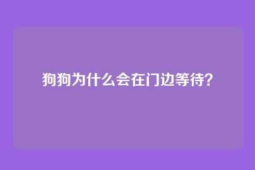 狗狗为什么会在门边等待？