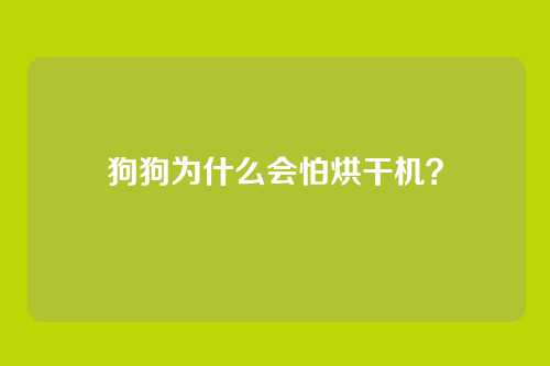狗狗为什么会怕烘干机？