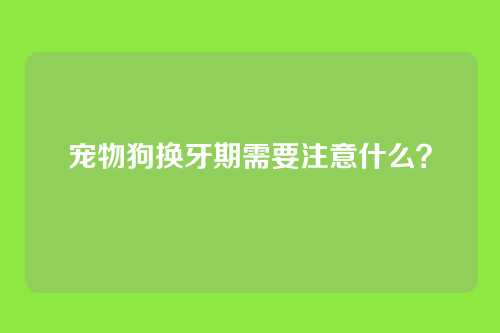 宠物狗换牙期需要注意什么？