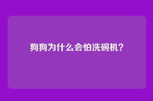 狗狗为什么会怕洗碗机？