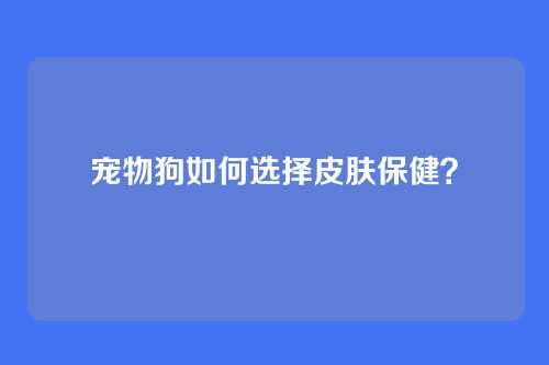 宠物狗如何选择皮肤保健？