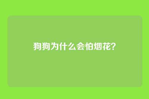 狗狗为什么会怕烟花？