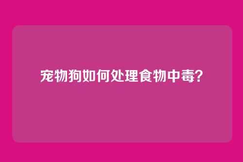 宠物狗如何处理食物中毒？