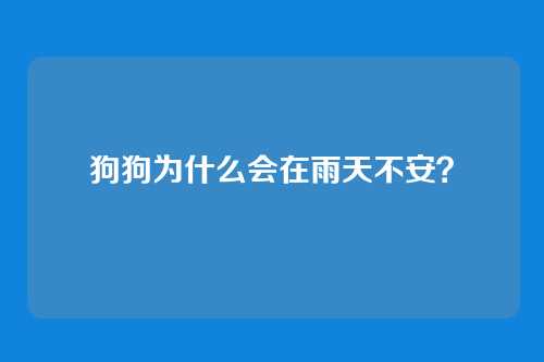 狗狗为什么会在雨天不安？