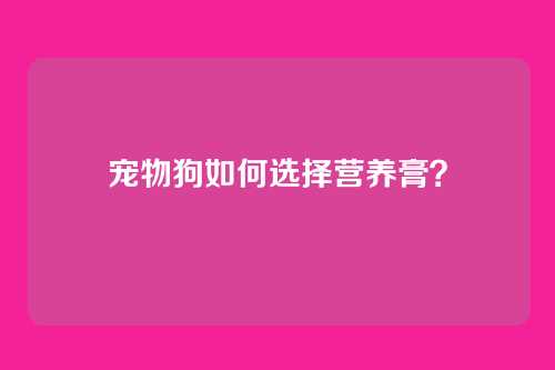 宠物狗如何选择营养膏?
