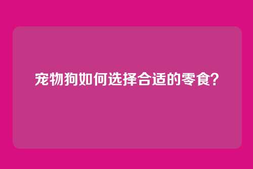 宠物狗如何选择合适的零食?