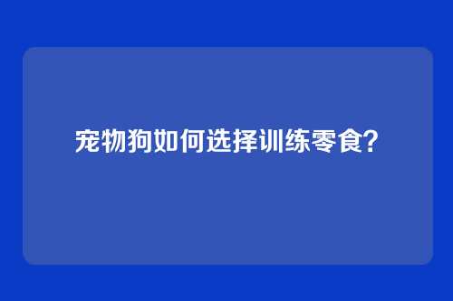 宠物狗如何选择训练零食？