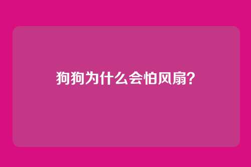 狗狗为什么会怕风扇？