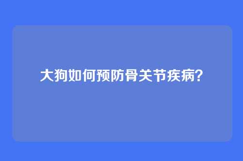 大狗如何预防骨关节疾病？