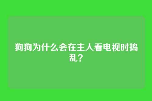 狗狗为什么会在主人看电视时捣乱?