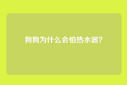 狗狗为什么会怕热水器？