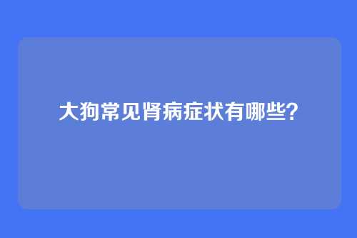 大狗常见肾病症状有哪些？