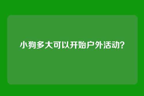 小狗多大可以开始户外活动？