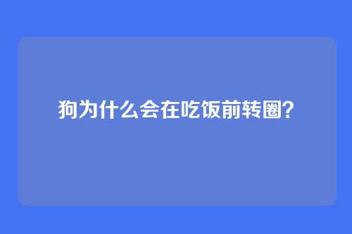 狗为什么会在吃饭前转圈？
