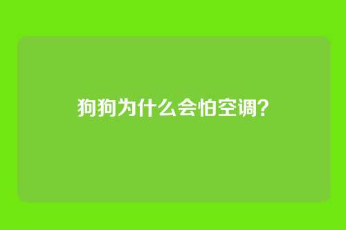 狗狗为什么会怕空调？