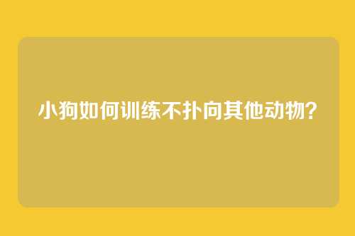 小狗如何训练不扑向其他动物？