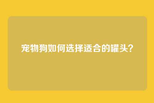 宠物狗如何选择适合的罐头?