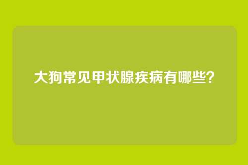 大狗常见甲状腺疾病有哪些?