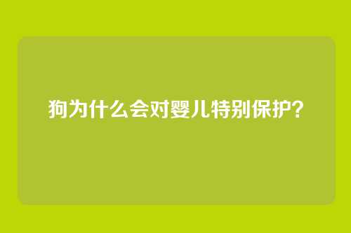 狗为什么会对婴儿特别保护?