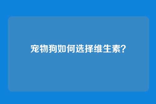 宠物狗如何选择维生素？
