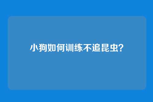 小狗如何训练不追昆虫？
