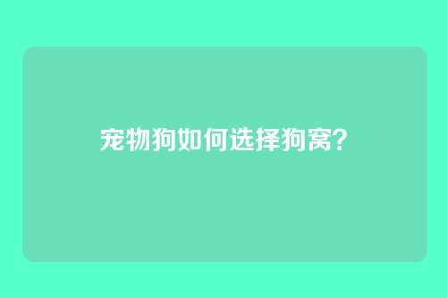 宠物狗如何选择狗窝？
