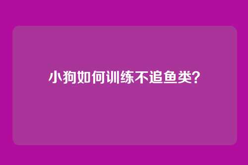 小狗如何训练不追鱼类？