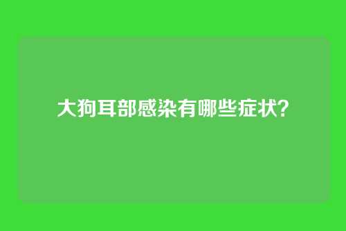 大狗耳部感染有哪些症状？