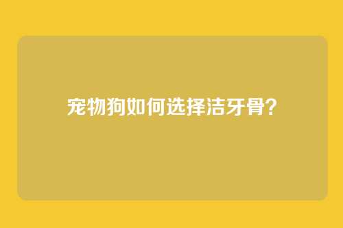 宠物狗如何选择洁牙骨？