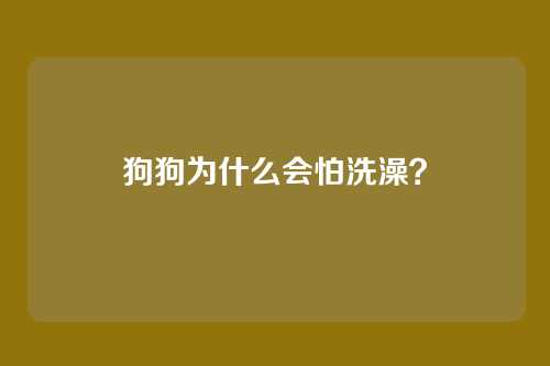 狗狗为什么会怕洗澡？