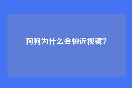 狗狗为什么会怕近视镜？
