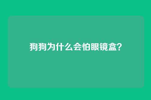 狗狗为什么会怕眼镜盒？