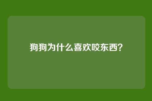 狗狗为什么喜欢咬东西?